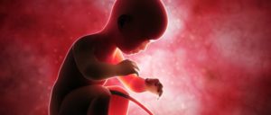 Embriyo Transferi Zor Bir İşlem Midir? Transfer Sonrası Nelere Dikkat Edilmelidir? 3
