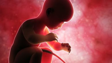 Embriyo Transferi Zor Bir İşlem Midir? Transfer Sonrası Nelere Dikkat Edilmelidir?