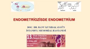 Endometriozis de Endometrium, 13. Ulusal Jinekoloji Ve Obstetrik Kongresi, Mayıs 2015, Antalya 3