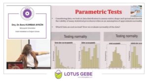 Parametric Tests, Bahçeşehir Üniversitesi, Şubat 2017, İstanbul 6
