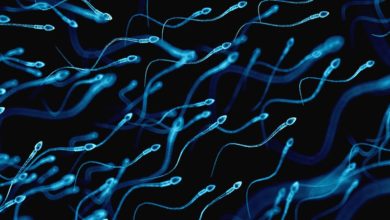 Sperm Morfoloji Bozukluğu İnfertilite Sebebi Midir? Kruger Testi Nedir?