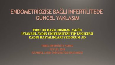 Endometriozise Bağlı İnfertilitede Güncel Yaklaşım Temel İnfertilite Kursu Eylül 2019, İstanbul