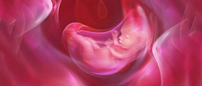 WHY DOES ABORTION OCCUR? HOW SHOULD IT BE MANAGED?