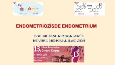 Endometriozis de Endometrium, 13. Ulusal Jinekoloji Ve Obstetrik Kongresi, Mayıs 2015, Antalya