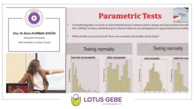 Parametric Tests, Bahçeşehir Üniversitesi, Şubat 2017, İstanbul