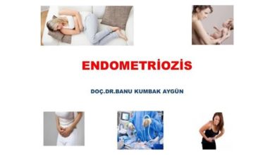 Endometriozis, İBB Eğiticilerin Eğitimi Toplantısı, 2015